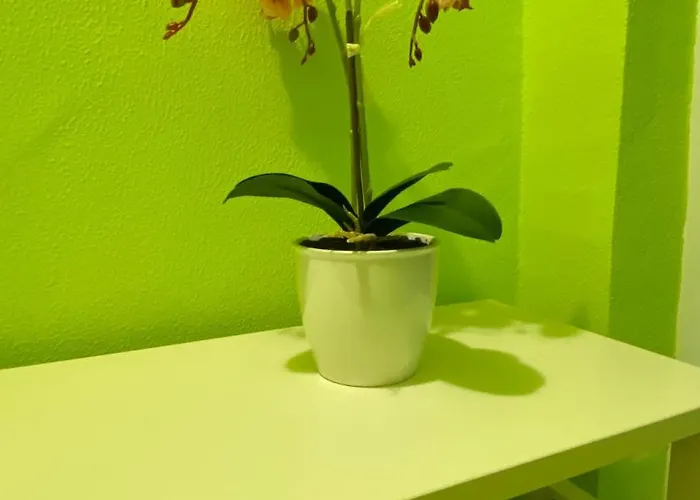 Apartament Aurora Sea Breeze